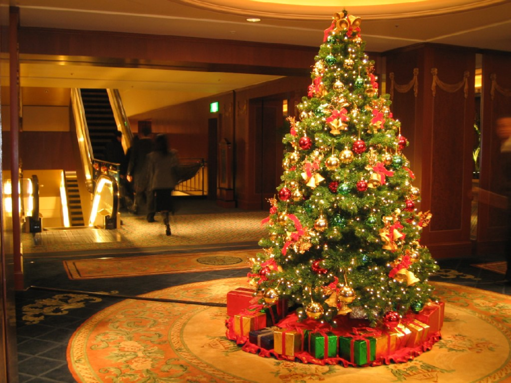 How to Maintain the Quality of Original Christmas Trees christmas tree