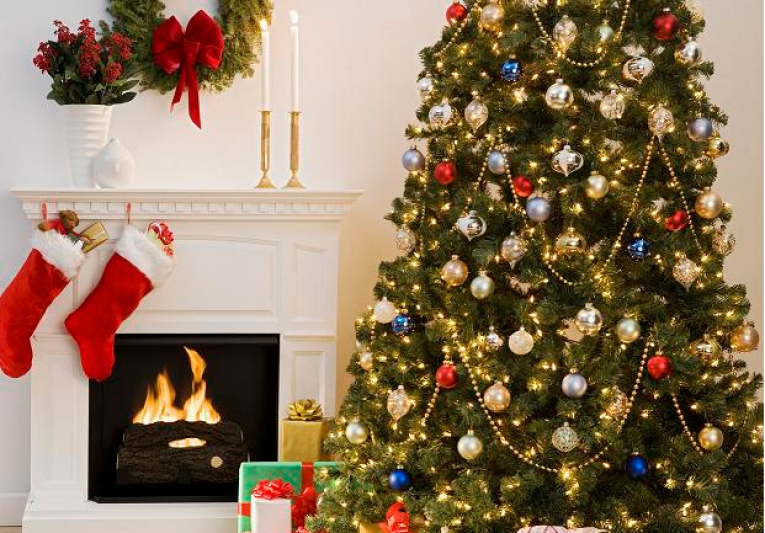 How to Maintain the Quality of Original Christmas Trees | We Care Green