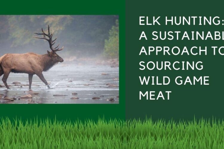 best Elk hunting gear