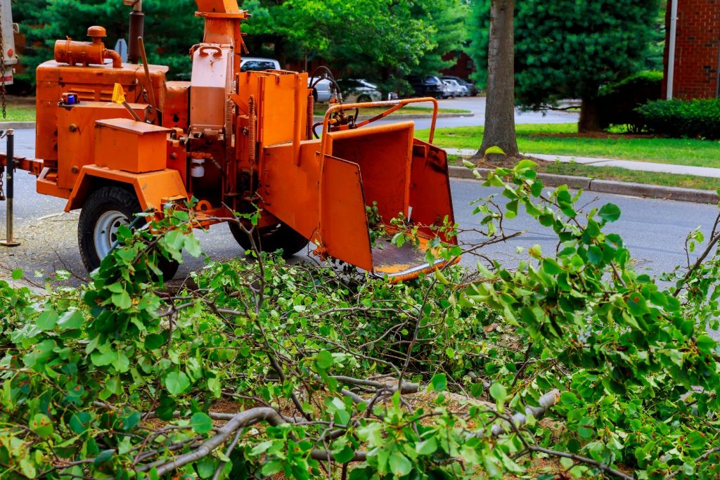 How Can I Ensure the Safety of My Property During Tree Removal in Kemp, Texas?