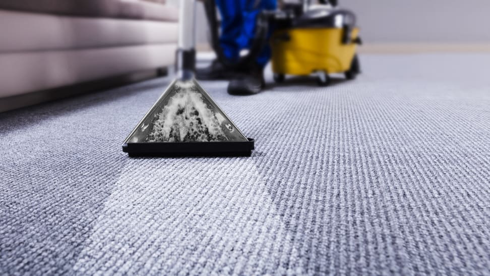 How to Deep Clean Your Carpets Before Moving Out of Your Rental