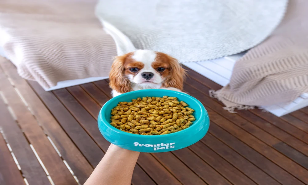 Choosing the Right Treats for Every Stage of a Dog’s Life