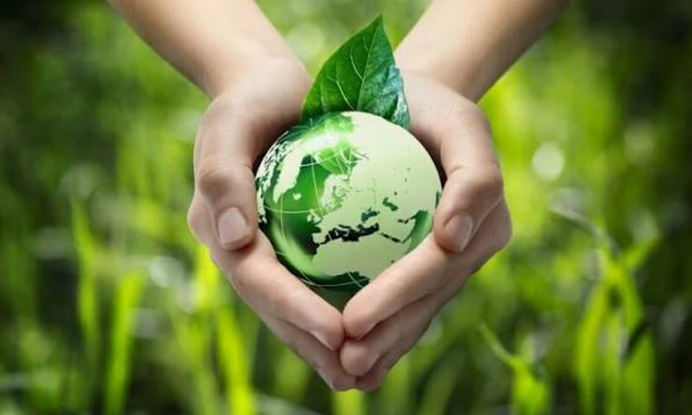 10 Ways to Go Greener